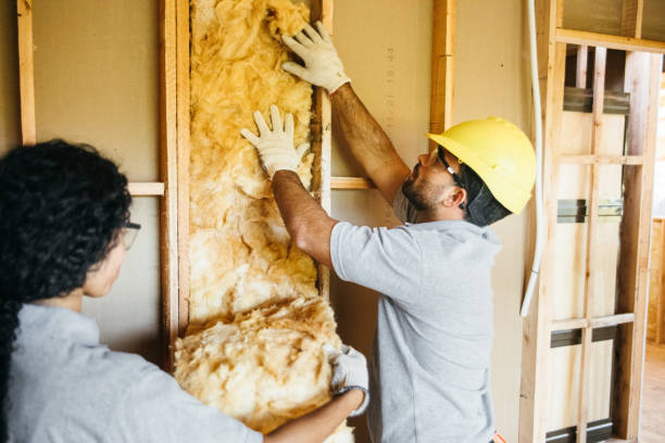 Best Blown-in Insulation  in Harrodsburg, KY