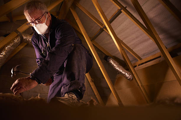 Best Energy-efficient Insulation  in Harrodsburg, KY